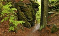 Wandern in der Sächsischen Schweiz - Affensteine