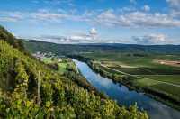 Mosel-Camino: Individuell wandern ohne Gepäck von Zell nach Trier
