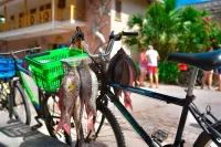 Nach dem Marktbesuch auf La Digue - Alina Kirsten