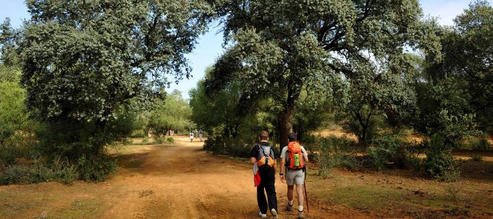 Pilgerwandern auf der Silberstraße - der Via de la Plata von Sevilla - Cáceres 