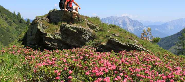 Salzkammergut: Individuell wandern ohne Gepäck entlang Höhenwegen, Seen & Dachsteingletscher