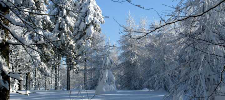 Moseleifel: Individuell winterwandern auf dem Moselsteig und Bärensteig - ohne Gepäck