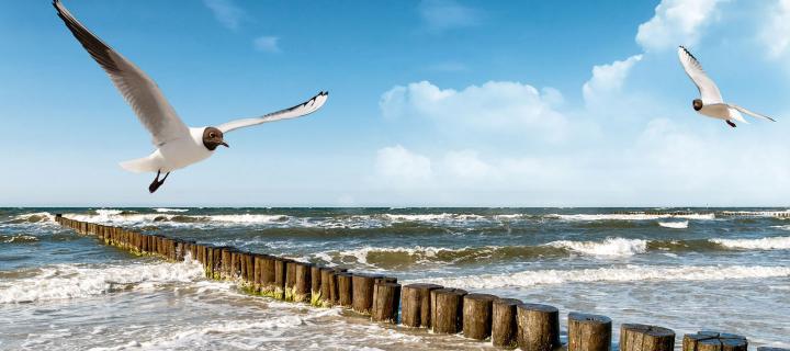 Wandern an der Ostseeküste - Sternwanderung Stralsund
