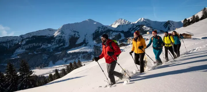 Winterspaß beim Schneeschuhwandern - Dominik Ketz