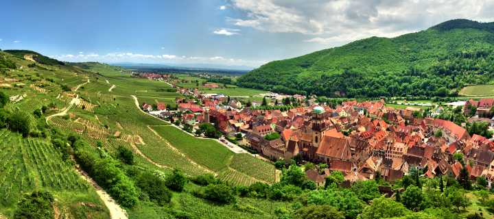 Wandern - Weinberge und Vogesengipfel - liebliches Elsass
